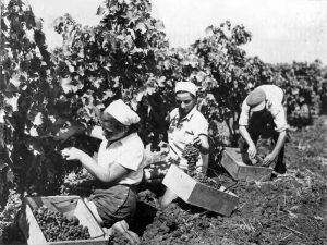 PikiWiki_Israel_3078_Ein_Hahoresh